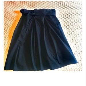 Banana Republic  Navy Skirt